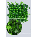 PE IVY Hedge Panel Artificial Plant for Decoration (50874)